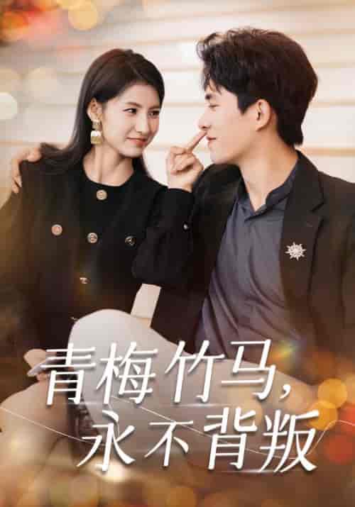 青梅竹马永不背叛（33集全）乔佳乐＆王槿-搜外项目网