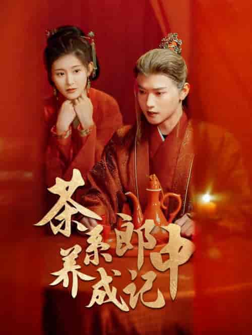 茶系郎中养成记（47集全）王宇威＆喻嘉琳-搜外项目网