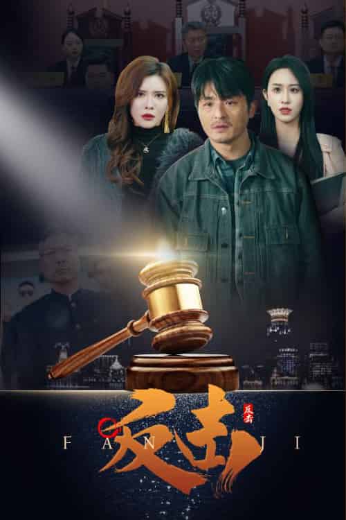 反击(41集全)王希如-搜外项目网