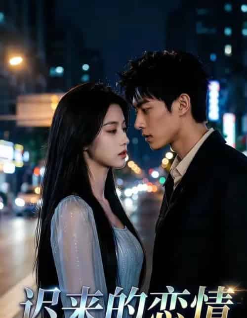 迟来的恋情（40集全）AI-搜外项目网