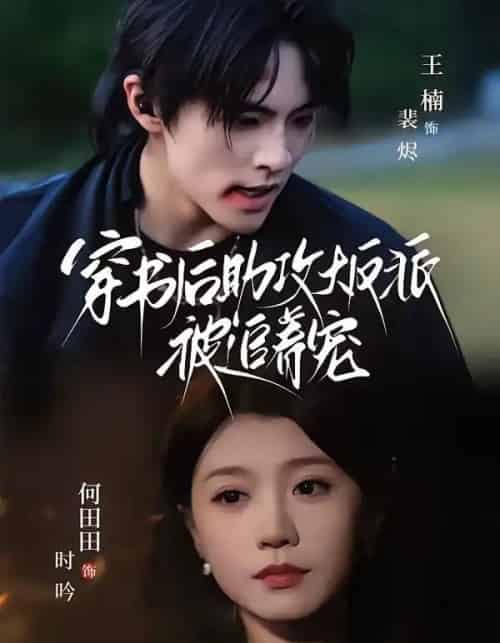 穿书后助攻大反派被追着宠（70集全）王楠＆何田田-搜外项目网