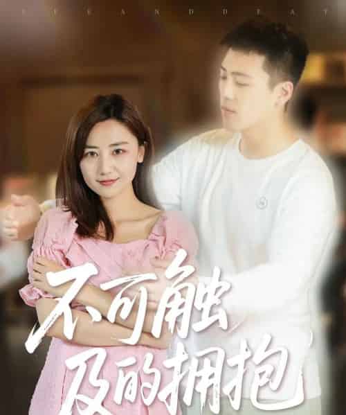 不可触及的拥抱 （40集） 闫聪-搜外项目网