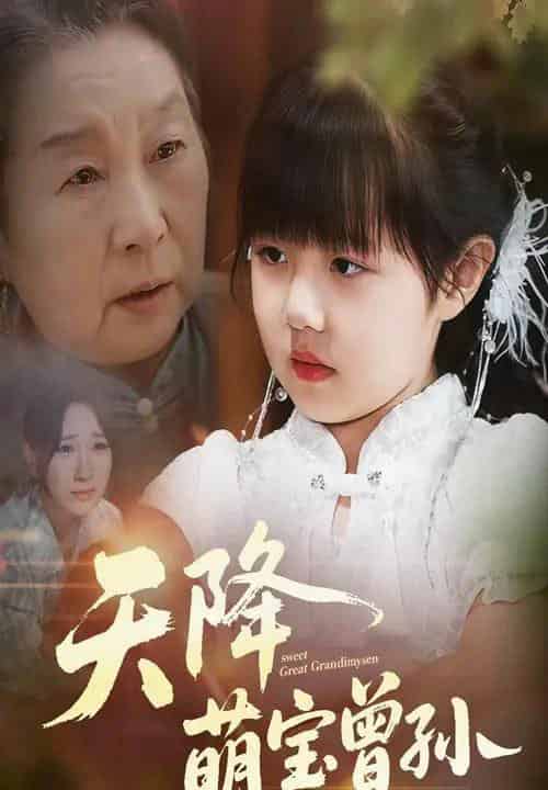 天降萌宝曾孙（60集）曹皓添＆高明君-搜外项目网