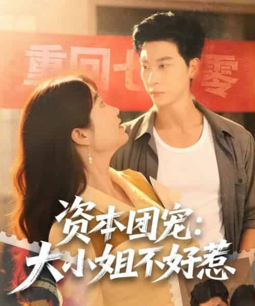 资本团宠大小姐不好惹(65集全)胡心棠&田阿甜-搜外项目网