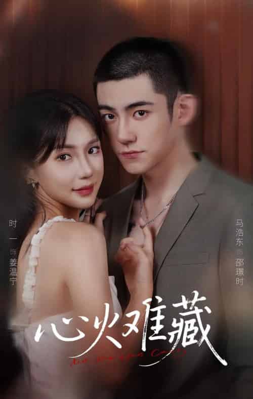 心火难藏（79集全）马浩东＆时一-搜外项目网