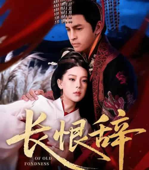 长恨辞（50集全）徐峰＆王玉钰-搜外项目网