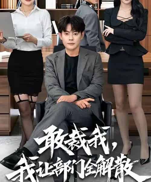 敢裁我，我让部门全解散（82集全）杨妍＆邱浩轩-搜外项目网