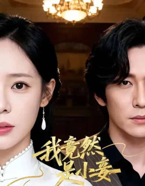 我竟然是小妾（47集全）李家豪＆朱彤-搜外项目网