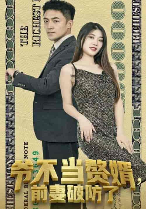 爷不当赘婿，前妻破防了（80集）李文瑞-搜外项目网