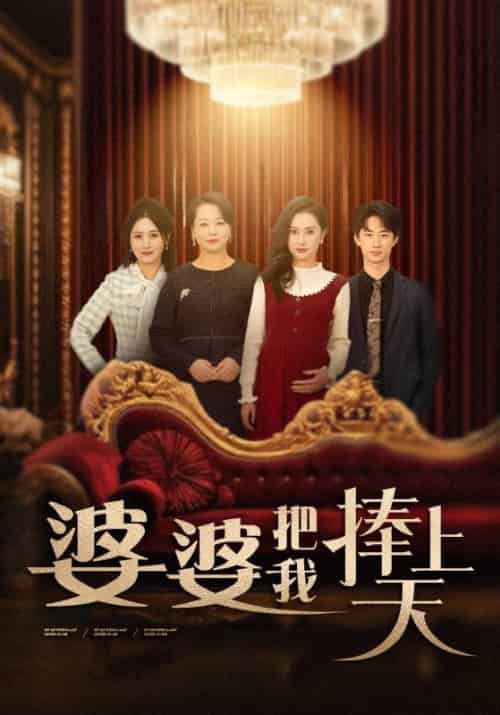 婆婆把我捧上天（52集全）赵兆＆何金玉-搜外项目网