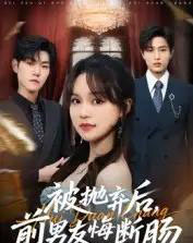 被抛弃后，前男友悔断肠（61集全）彭慧玲＆朱凯杰-搜外项目网