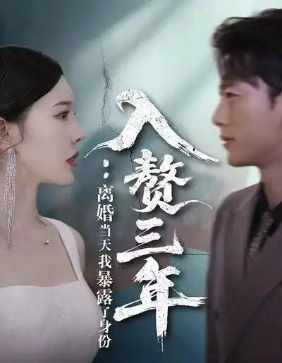 入赘三年:离婚当天我暴露了身份(99集全)张子安&张婉瑶-搜外项目网