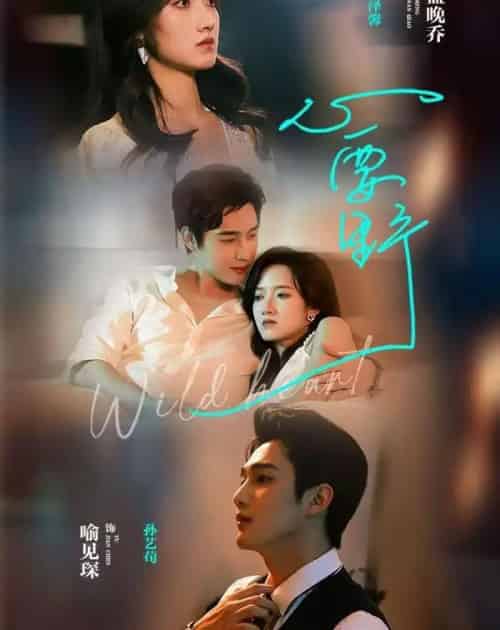 心要野（62集全）孙艺荀＆董夜馨-搜外项目网