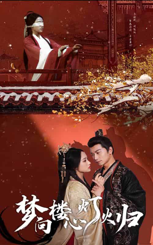 梦向楼心灯火归（37集全）韩明熙＆刘昱辰-搜外项目网