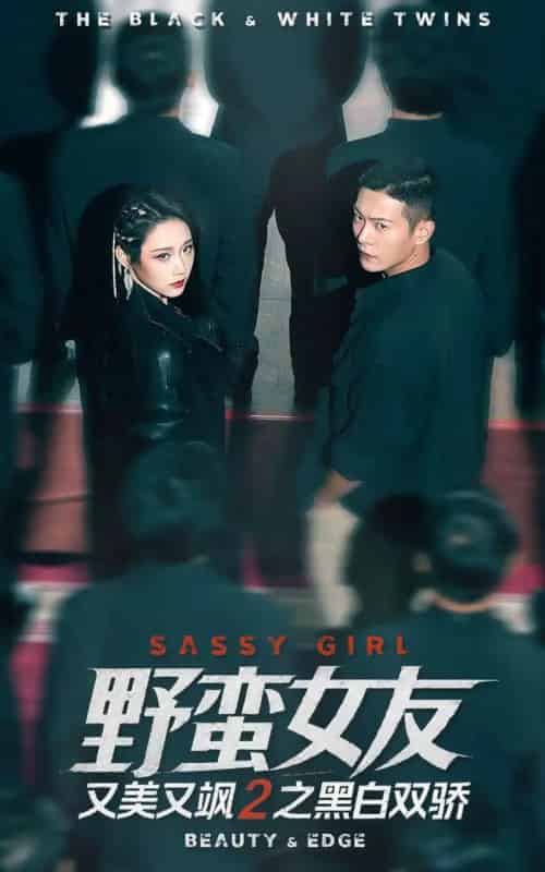 野蛮女友又美又飒2之黑白双骄（110集全）钱谦＆陈汶汐-搜外项目网