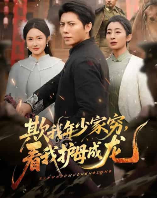 欺我年少家穷,看我护母成龙(57集全)王梓潇&刘凡-搜外项目网