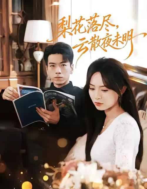 梨花落尽，云散夜未明（60集全）孙飞翔＆程林秒-搜外项目网