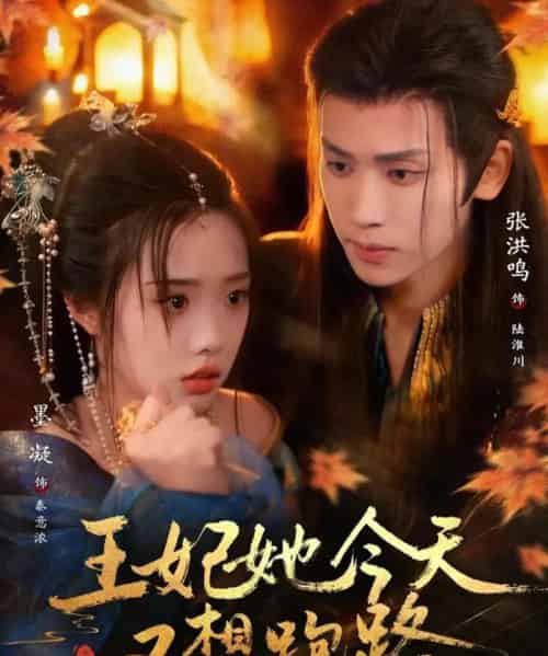 王妃她今天又想跑路（62集全）张洪鸣＆墨凝-搜外项目网