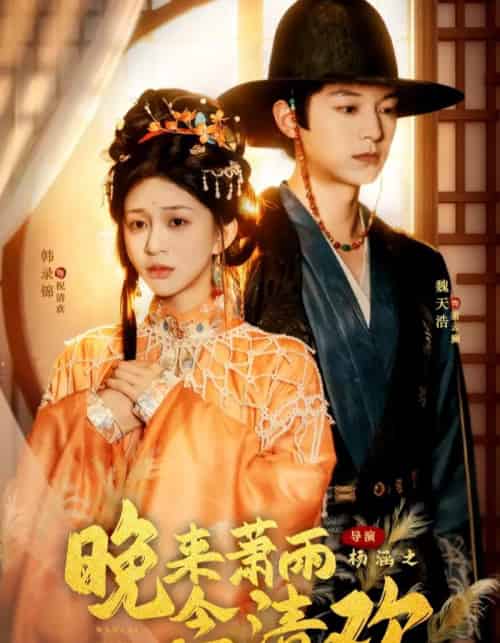 晚来萧雨念清欢＆我和亲后，太子急疯了（61集全）魏天浩＆韩录锦-搜外项目网