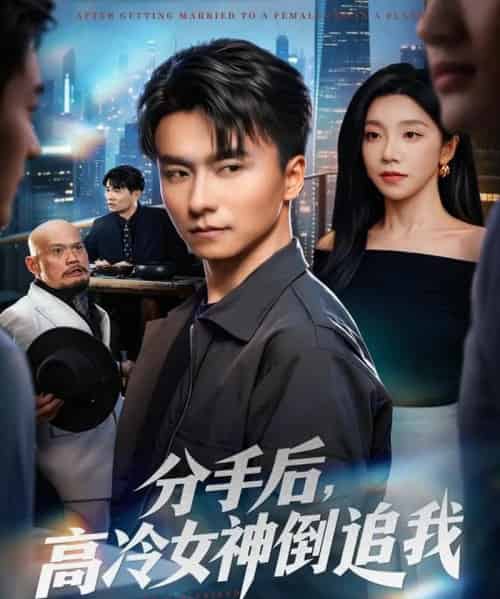 分手后，高冷女神倒追我（80集全）常欣＆王振-搜外项目网
