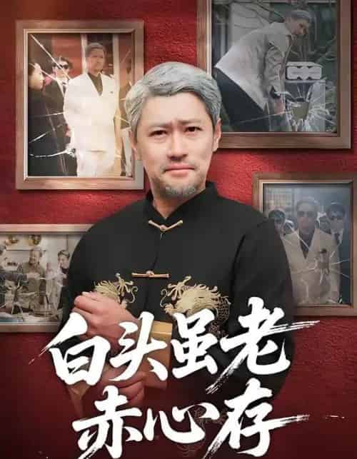 白头虽老赤心存（71集全）王争＆王晨-搜外项目网