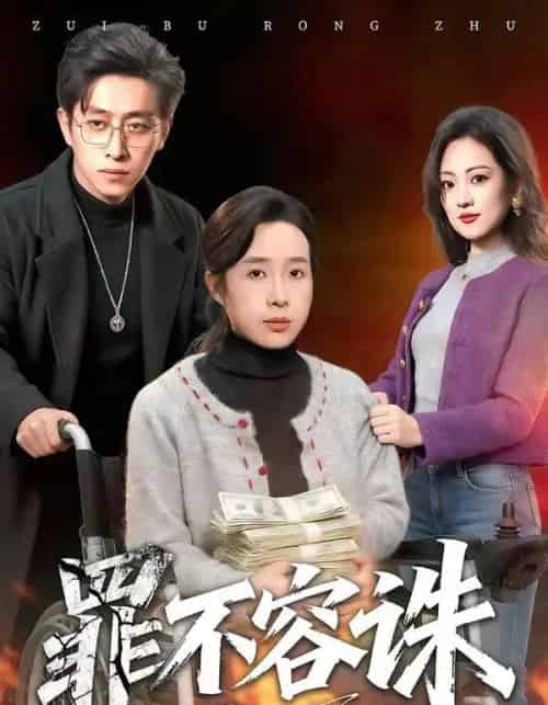 罪不容诛(80集全)林海燕&王艺朴-搜外项目网