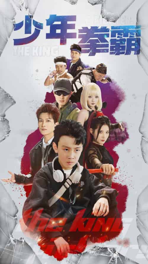 少年拳霸(60集全)刘灿&徐科-搜外项目网