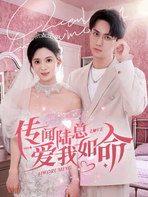 传闻陆总爱我如命（66集全）陈政阳＆刘美娜-搜外项目网