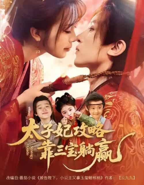 太子妃攻略，靠三宝躺赢了（60集全）刘一隆＆金雅娜-搜外项目网