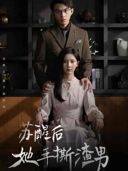 苏醒后她手撕渣男（63集全）丁晓-搜外项目网