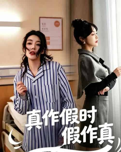 真作假时假作真（60集全）杨一＆杜依依-搜外项目网
