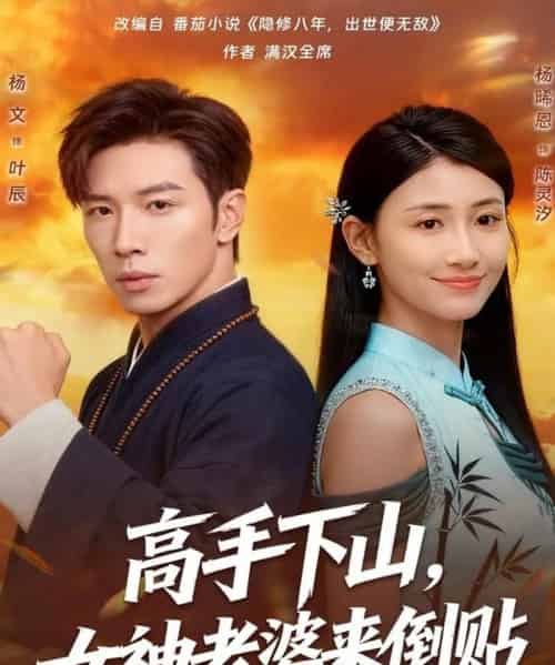 高手下山,女神老婆来倒贴(80集全)杨文&杨晞恩-搜外项目网