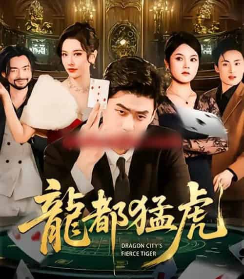 龙都猛虎（60集全）胡宗玺＆张子唯＆孟浩-搜外项目网