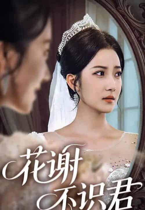 花谢不识君（40集）段文鹏＆贾金赛-搜外项目网