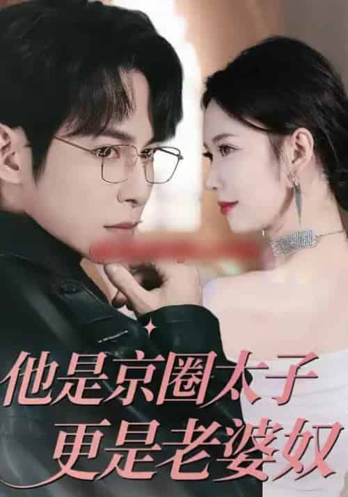 他是京圈太子更是老婆奴（80集全）王广大＆孙小美-搜外项目网