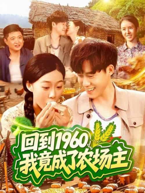 回到1960,我竟成了农场主&回到1960我竟成了农场主(95集全)马丽莎&王大钱-搜外项目网