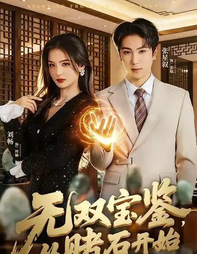 无双宝鉴，从赌石开始（70集全）张星叙＆刘畅-搜外项目网