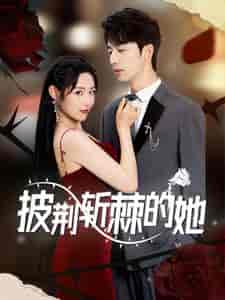 披荆斩棘的她（91集）吴美慧-搜外项目网