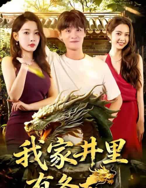 我家井里有条龙（80集全）AI-搜外项目网