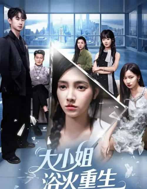 大小姐浴火重生(64集)樊楚琦&刘凡&张亚宁-搜外项目网