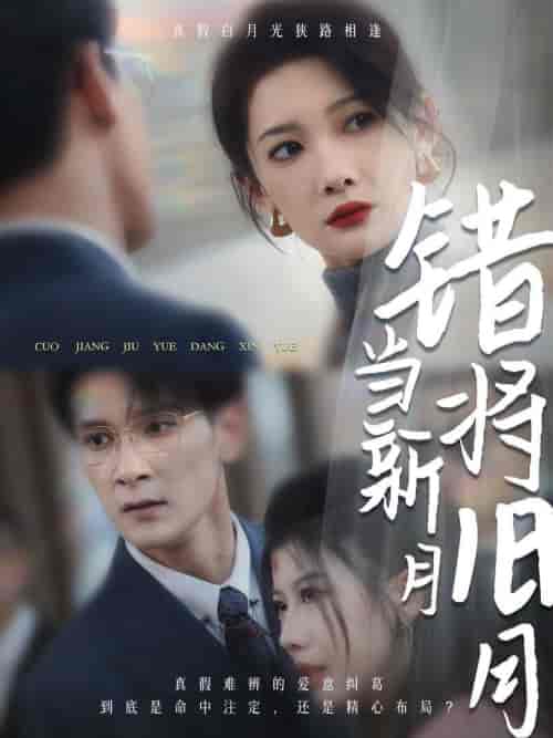 《错将旧月当新月》全集剧情介绍 - 搜外短剧