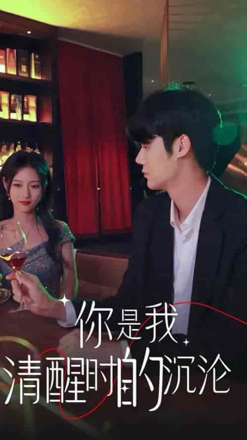 你是我清醒时的沉沦（81集全）李媛菁-搜外项目网