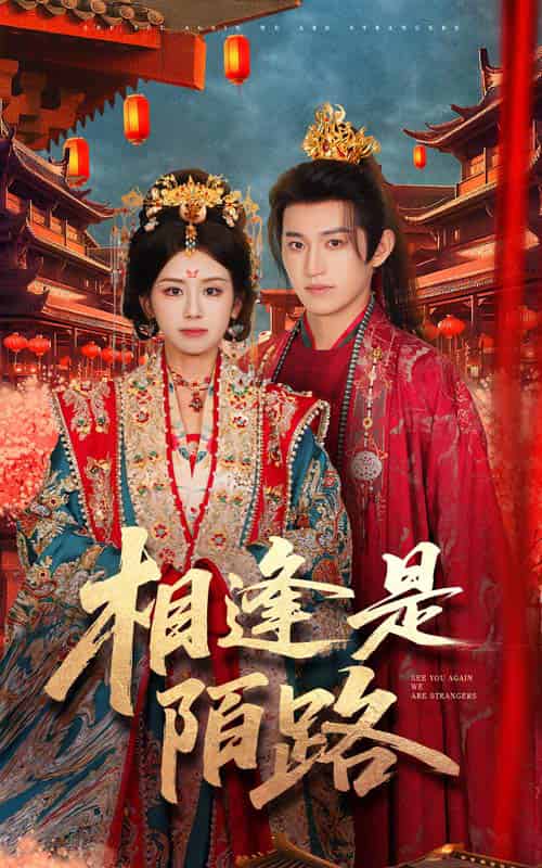 相逢是陌路（50集全）卓杭＆林七月-搜外项目网