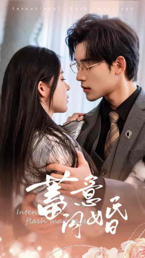 蓄意闪婚（68集全）赵慕颜-搜外项目网