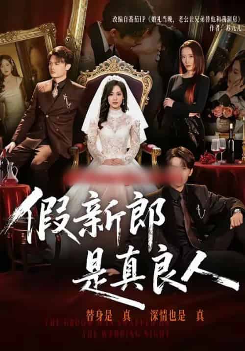 假新郎是真良人（67集全）郭俊男＆王昕阳-搜外项目网