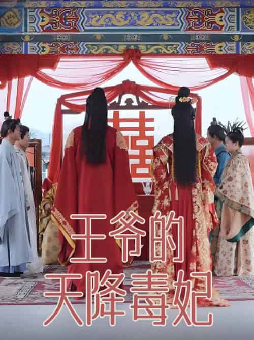 王爷的天降毒妃（73集全）樊纾宁-搜外项目网