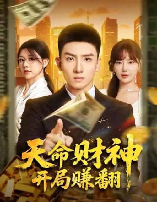 天命财神开局赚翻(80集全)霍文琦&常文景-搜外项目网