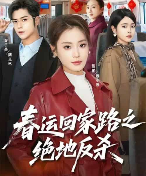 春运回家路之绝地反杀（59集全）秦子墨＆甜鹅-搜外项目网