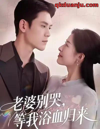 老婆别哭，等我浴血归来（45集全）朱静＆徐浩楠-搜外项目网