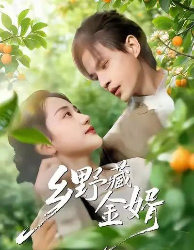 乡野藏金婿（50集全）冯琳玲＆吴杰-搜外项目网